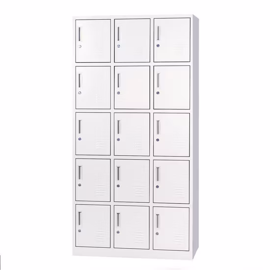 School/Office/Gym Locker 12 Doors Metal Steel Clothes Storage Lockers for Staff